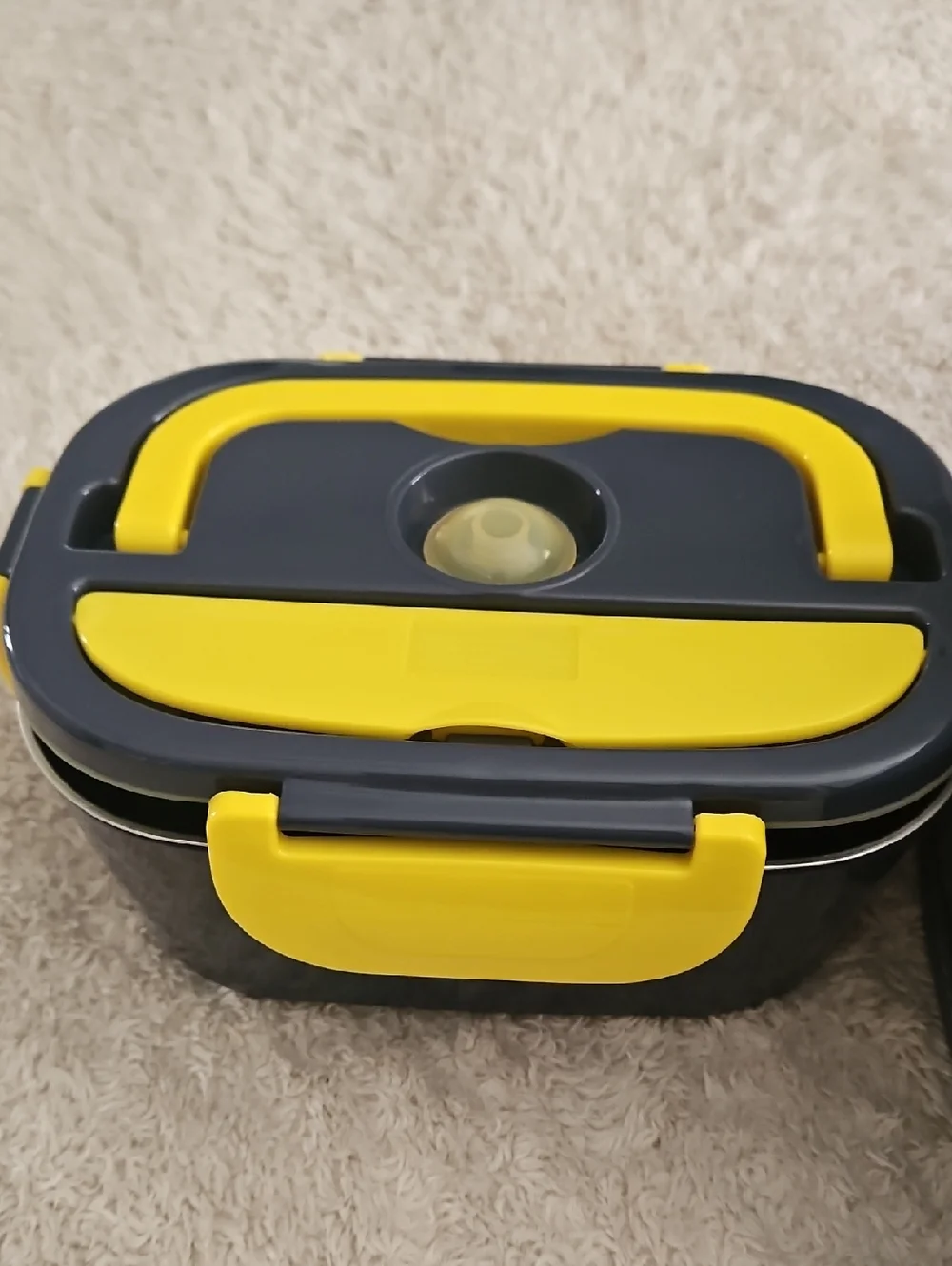 Electric Lunch box